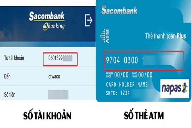 Phân biệt số thẻ và số tài khoản Sacombank