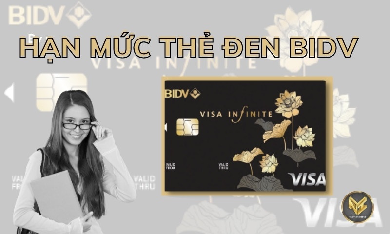 hạn mức tín dụng của thẻ đen BIDV Visa Infinite là từ 300.000.000 VND trở lên